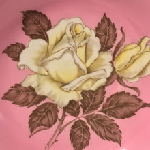 Load image into Gallery viewer, Rare Collector’s Item: Pink Paragon Double Wareant With White Cabbage Roses