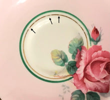 Load image into Gallery viewer, Paragon Pink With Pink Cabbage Roses