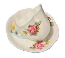 Load image into Gallery viewer, Shelley Dainty Shape Begonia