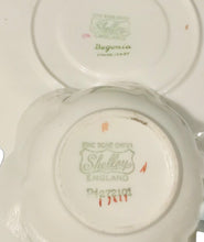 Load image into Gallery viewer, Shelley Dainty Shape Begonia