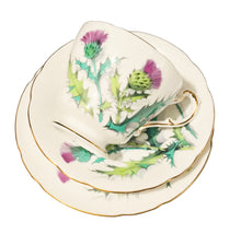 Load image into Gallery viewer, Paragon Purple Thistle Trio