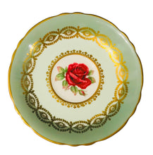 Load image into Gallery viewer, Paragon Red Cabbage Rose