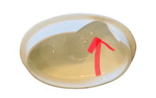 Load image into Gallery viewer, 3 Cup Hammersley Rose Teapot