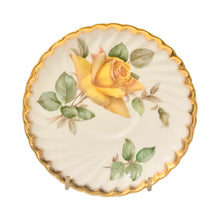 Load image into Gallery viewer, Beautiful Mismatched Adderley Goldilocks and Minerve