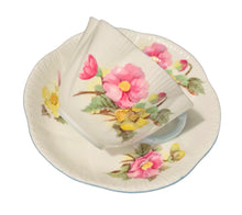 Load image into Gallery viewer, Shelley Dainty Shape Begonia