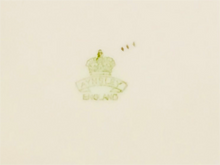 Load image into Gallery viewer, Aynsley Plate 10 x 8.75 In