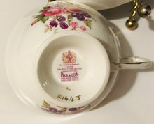 Load image into Gallery viewer, Paragon Pink Duo