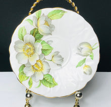 Load image into Gallery viewer, Aynsley Dogwood