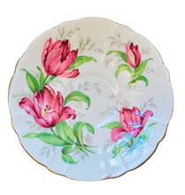 Load image into Gallery viewer, Gladstone Rembrandt