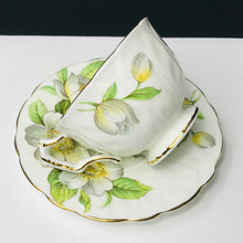 Load image into Gallery viewer, Aynsley Dogwood