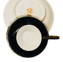 Load image into Gallery viewer, Royal Sealy Japan