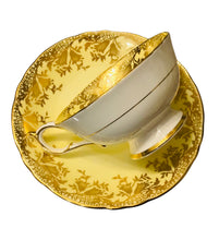 Load image into Gallery viewer, Yellow Paragon By Appointment