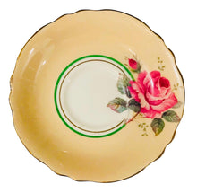 Load image into Gallery viewer, Peach Paragon Cabbage Rose