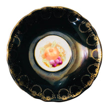 Load image into Gallery viewer, Royal Sealy Japan