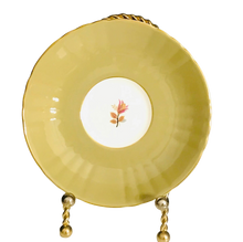 Load image into Gallery viewer, Royal Grafton Olive Green