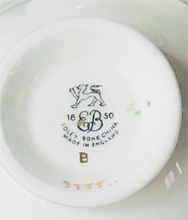 Load image into Gallery viewer, EB Foley Duo