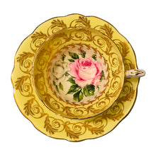 Load image into Gallery viewer, EB Foley Cabbage Rose