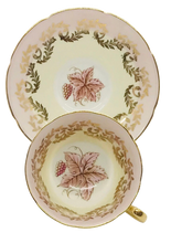 Load image into Gallery viewer, Royal Grafton Duo