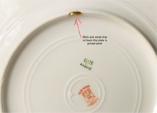 Load image into Gallery viewer, Limoges Elite Works 8.75 In