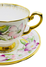 Load image into Gallery viewer, Stafford Clematis