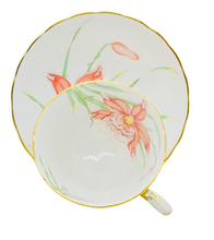 Load image into Gallery viewer, Tuscan Cardinalis