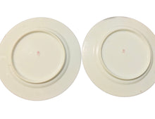 Load image into Gallery viewer, Set of 4 Hand Painted 6 Inch Plates