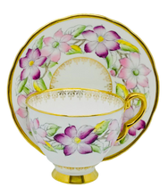 Load image into Gallery viewer, Stafford Clematis