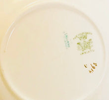 Load image into Gallery viewer, The Foley China Wileman 7 Inch Plate