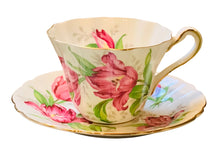 Load image into Gallery viewer, Gladstone Rembrandt