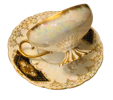 Load image into Gallery viewer, Royal Sealy Japan