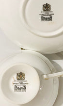 Load image into Gallery viewer, Paragon Turquoise