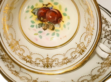 Load image into Gallery viewer, Royal Chelsea Duo