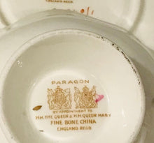 Load image into Gallery viewer, Peach Paragon Cabbage Rose