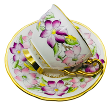 Load image into Gallery viewer, Stafford Clematis