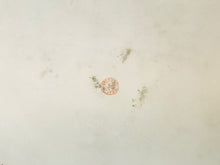 Load image into Gallery viewer, AKCD Limoges Tray