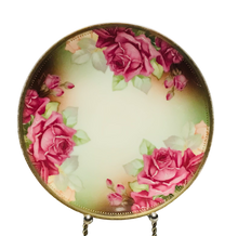 Load image into Gallery viewer, Thomas Bavaria Sevres