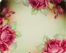 Load image into Gallery viewer, Thomas Bavaria Sevres