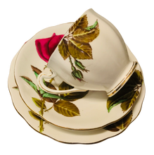 Load image into Gallery viewer, Royal Standard English Rose