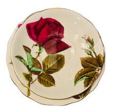 Load image into Gallery viewer, Royal Standard English Rose