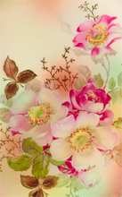 Load image into Gallery viewer, Schumann Wild Rose