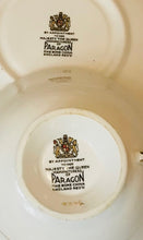 Load image into Gallery viewer, Paragon Mums