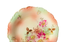 Load image into Gallery viewer, Schumann Wild Rose