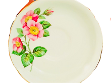 Load image into Gallery viewer, Royal Grafton Duo