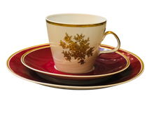 Load image into Gallery viewer, Lichte Rigo Germany