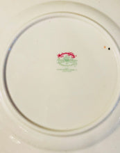 Load image into Gallery viewer, Hammersley Autumn Glory