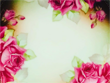 Load image into Gallery viewer, Thomas Bavaria Sevres