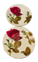 Load image into Gallery viewer, Royal Standard English Rose