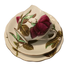 Load image into Gallery viewer, Royal Standard English Rose