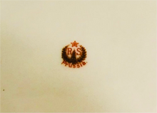 Load image into Gallery viewer, Antique RS Prussia