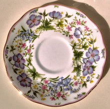 Load image into Gallery viewer, Royal Albert Hazy Shade